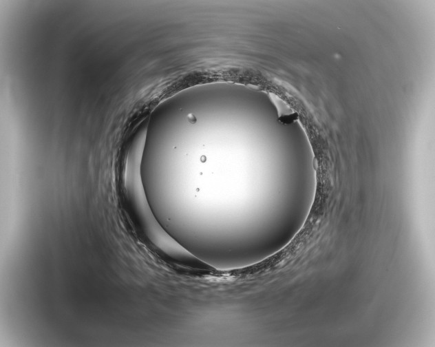 X0000087640965200705101044