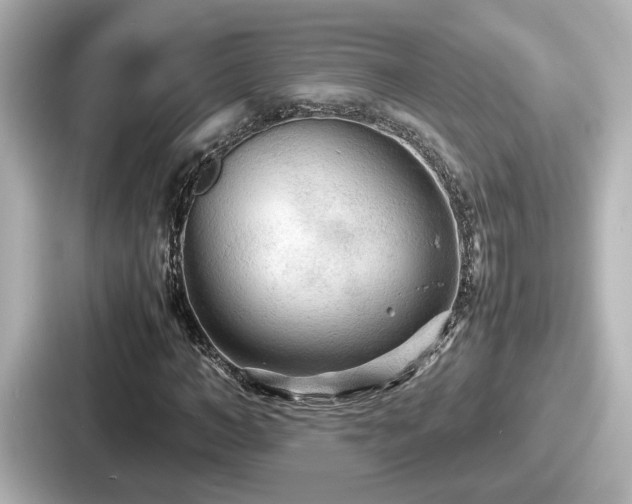 X0000087640966200705101044