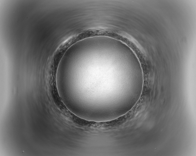 X0000087640967200705101044