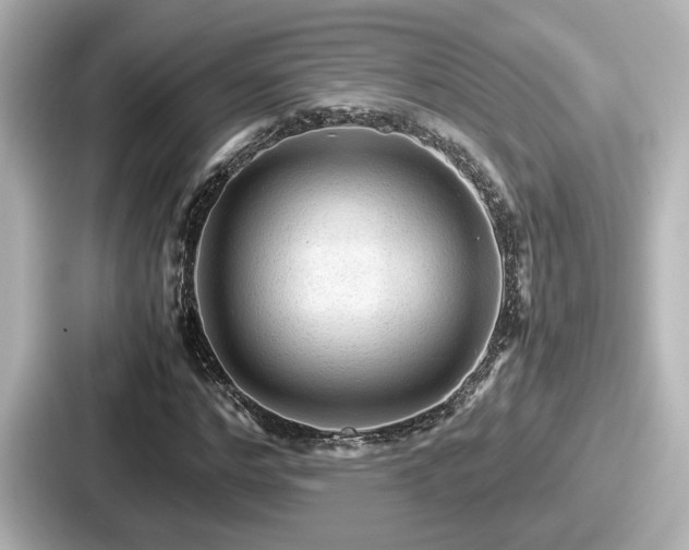 X0000087640968200705101044