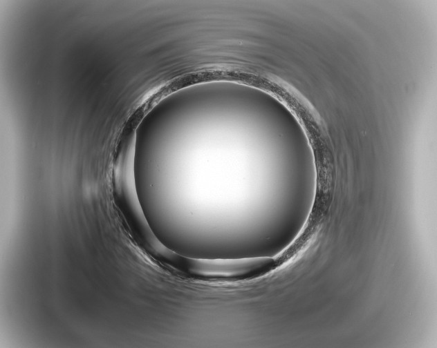 X0000087640969200705101044