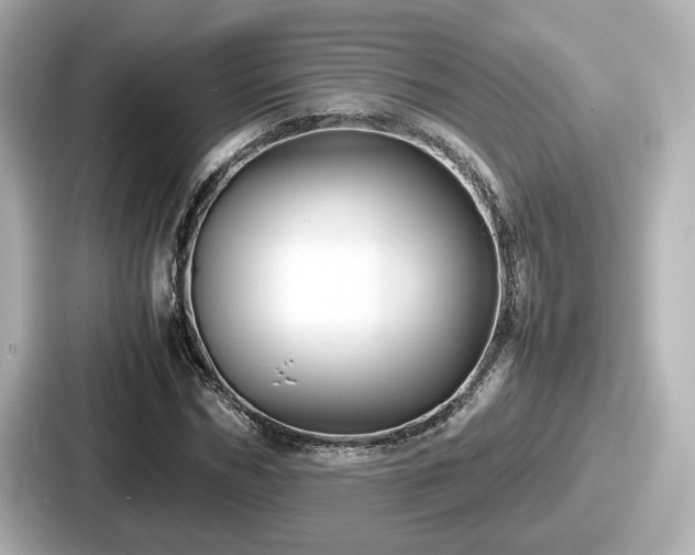 X0000087640970200705101044