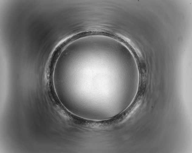 X0000087640971200705101044