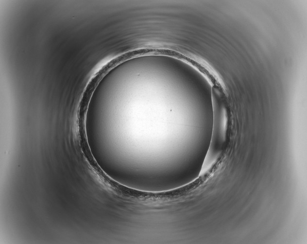 X0000087640972200705101044