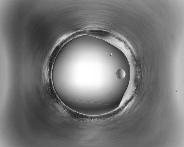 X0000087640973200705101044