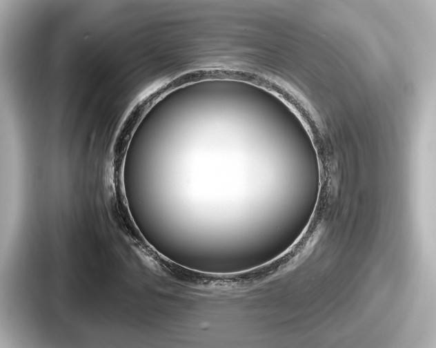 X0000087640974200705101044