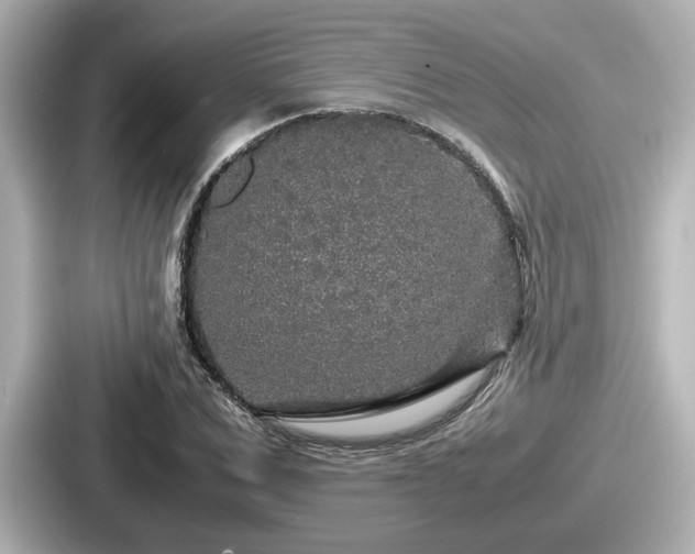 X0000087640975200705101044