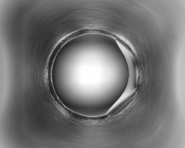 X0000087640976200705101044