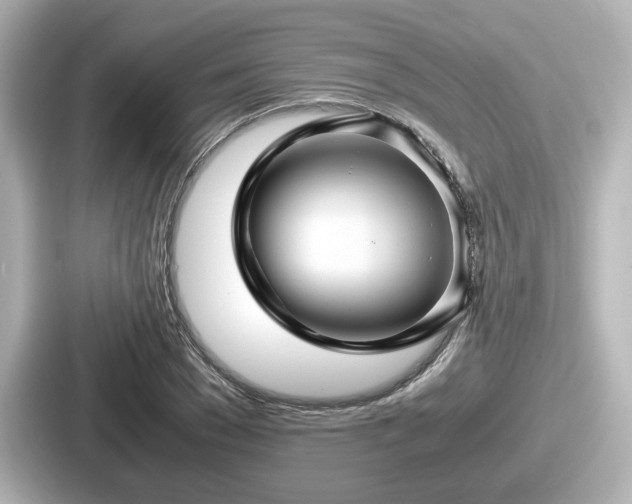 X0000087640977200705101044