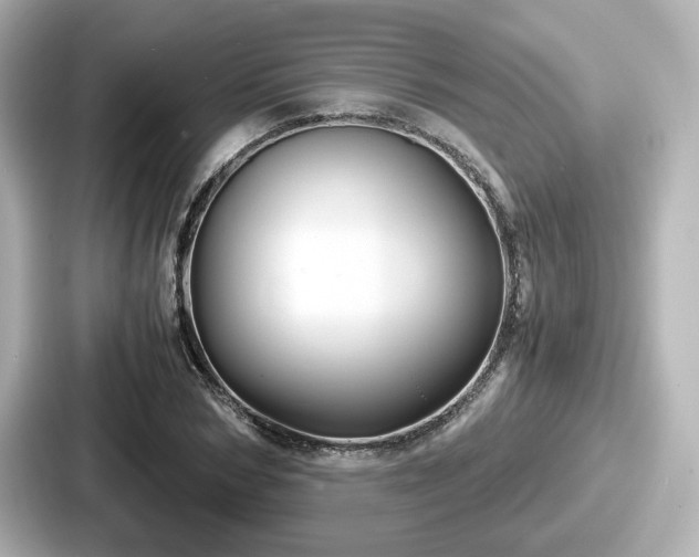 X0000087640978200705101044