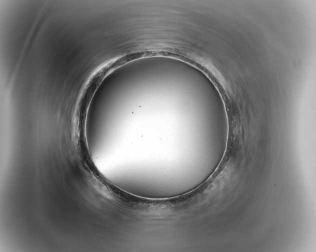 X0000087640979200705101044