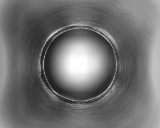 X0000087640980200705101044