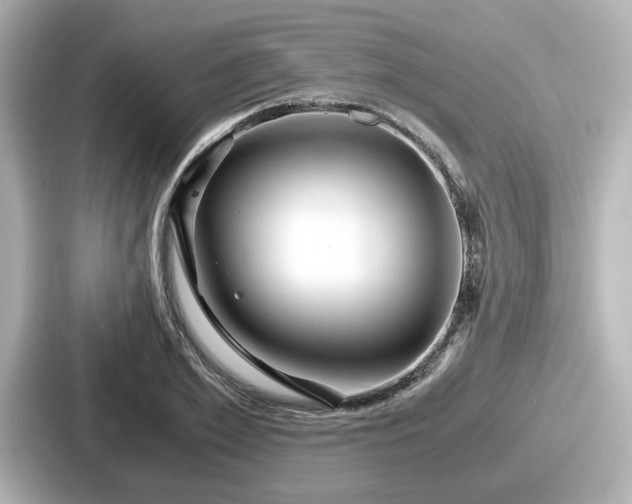 X0000087640981200705101044