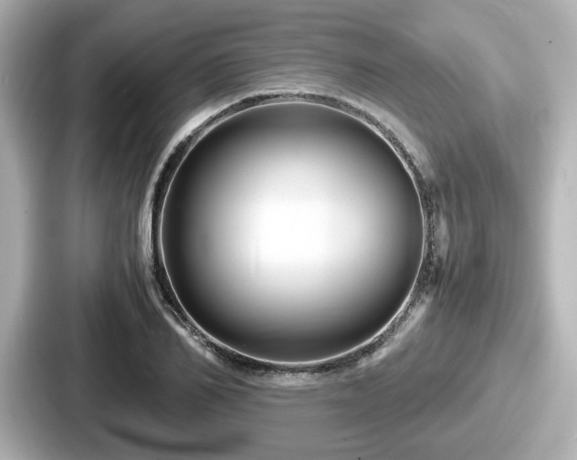 X0000087640982200705101044