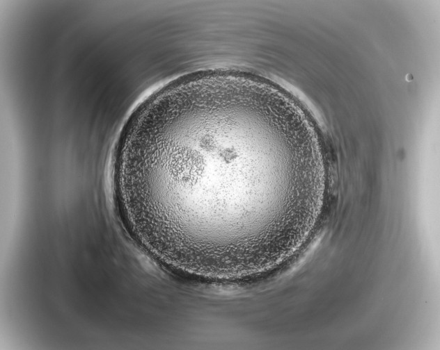 X0000087640983200705101044