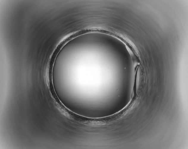 X0000087640984200705101044