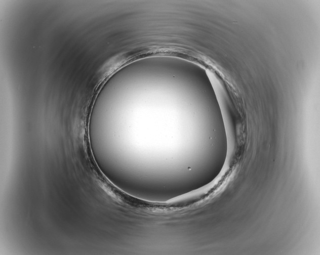 X0000087640985200705101044