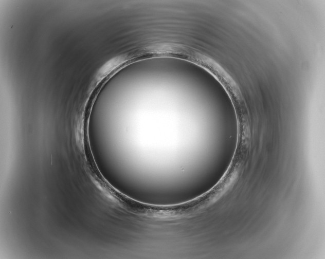 X0000087640986200705101044