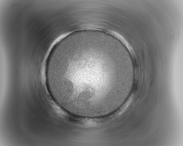 X0000087640987200705101044