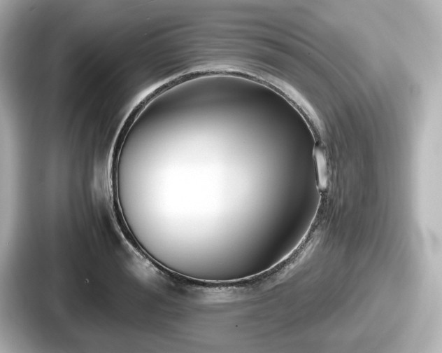 X0000087640988200705101044