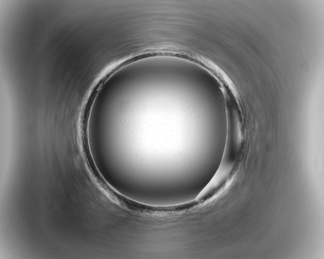 X0000087640989200705101044