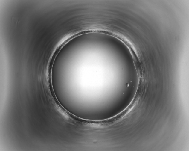 X0000087640990200705101044