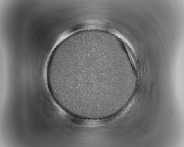 X0000087640991200705101044