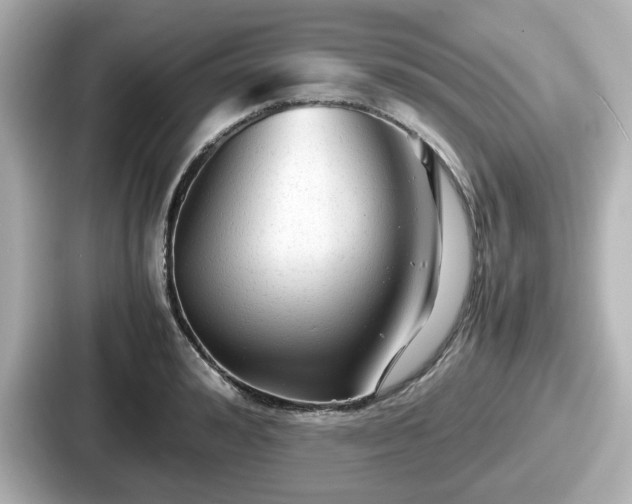 X0000087640992200705101044