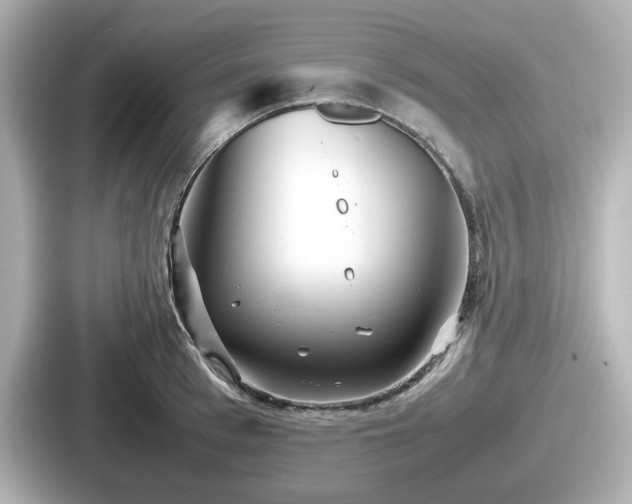 X0000087640993200705101044