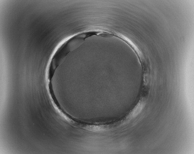 X0000087640995200705101044