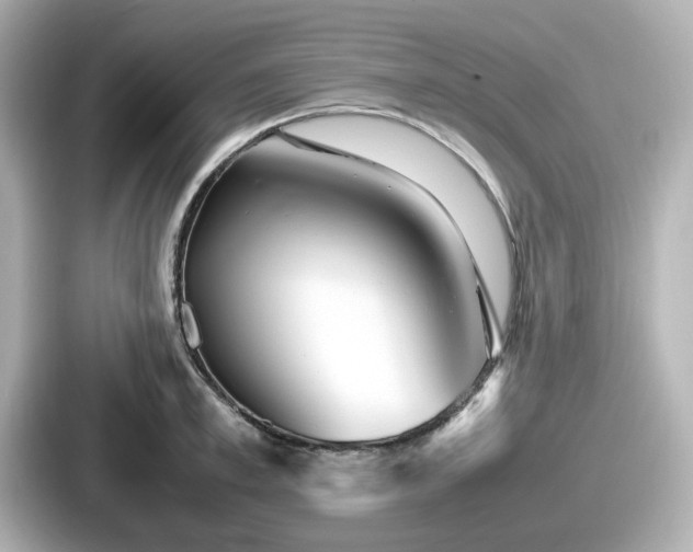 X0000087640997200705101044