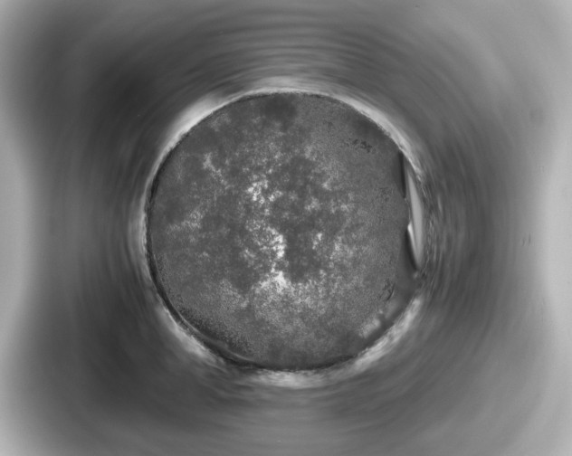 X0000087640998200705101044