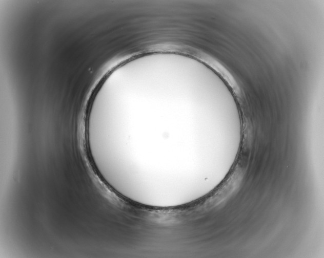 X0000087641000200705101044