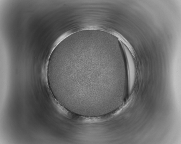 X0000087641002200705101044