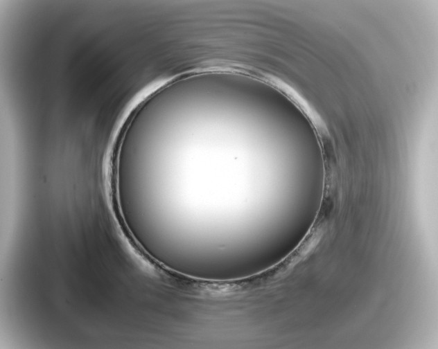 X0000087641003200705101044