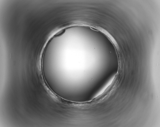 X0000087641004200705101044