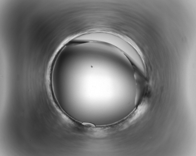 X0000087641005200705101044