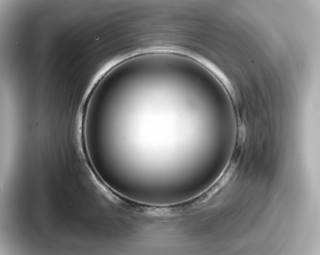 X0000087641006200705101044