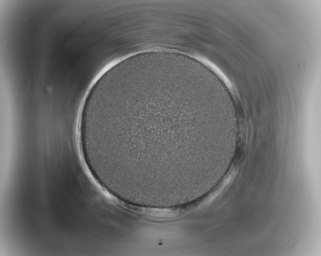 X0000087641007200705101044