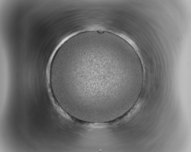 X0000087641008200705101044