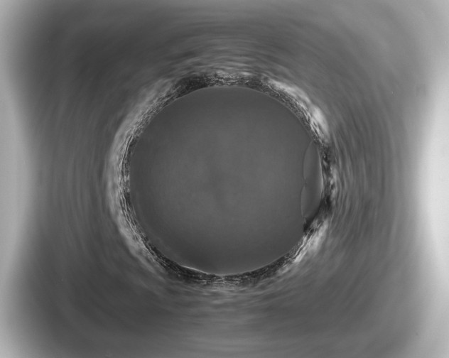 X0000087641009200705101043