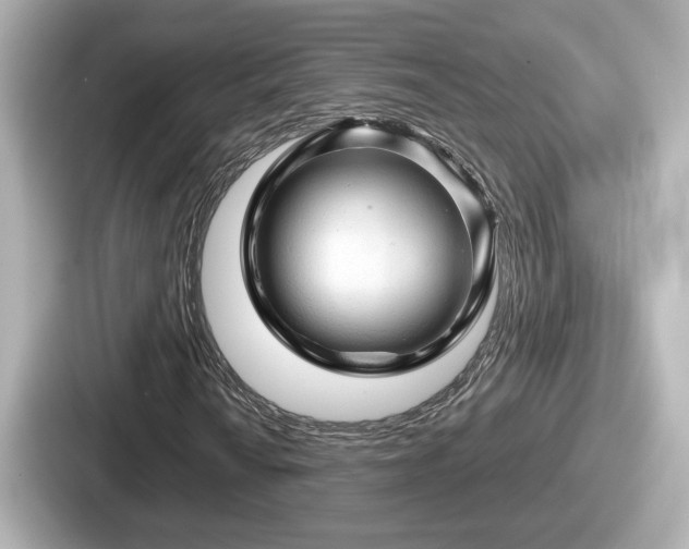 X0000087641010200705101043