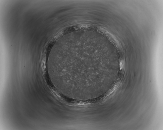 X0000087641011200705101043