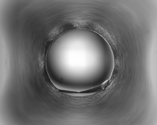 X0000087641012200705101043