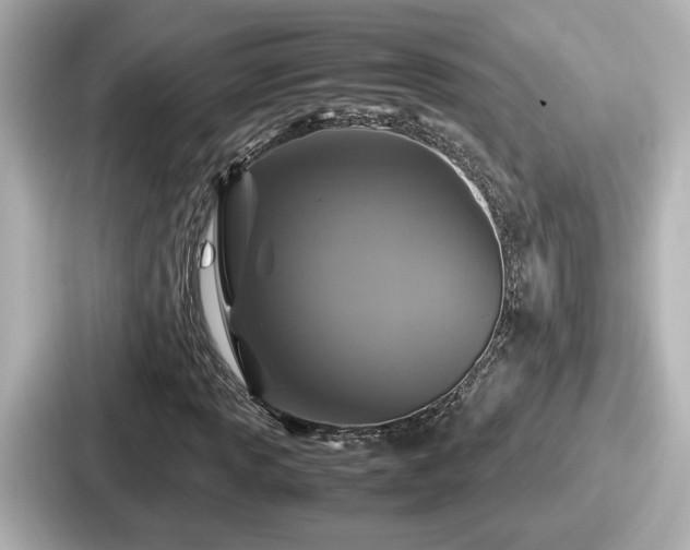 X0000087641013200705101043