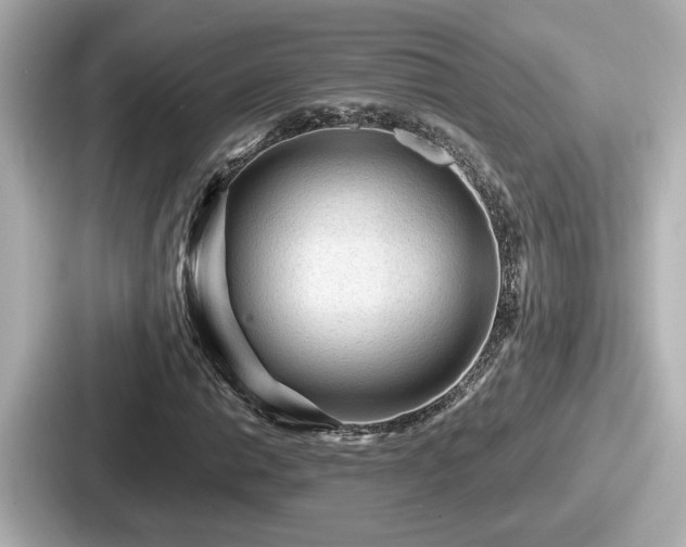 X0000087641014200705101043