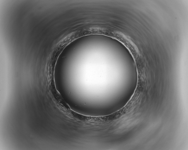 X0000087641015200705101043