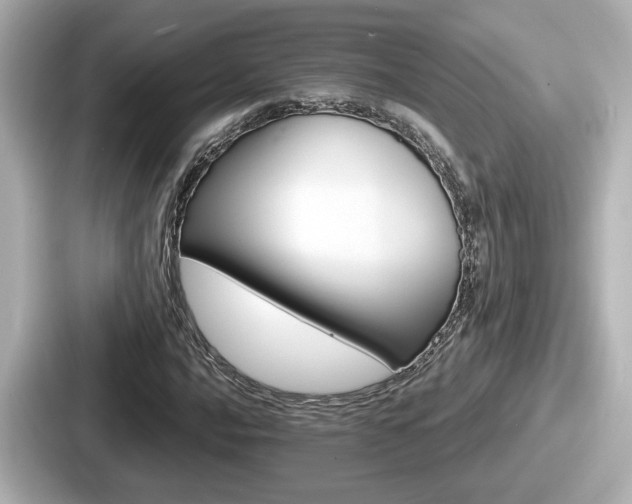 X0000087641016200705101043