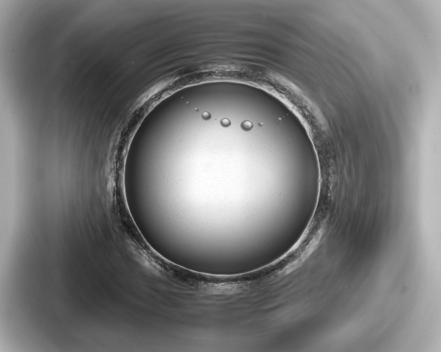 X0000087641017200705101043