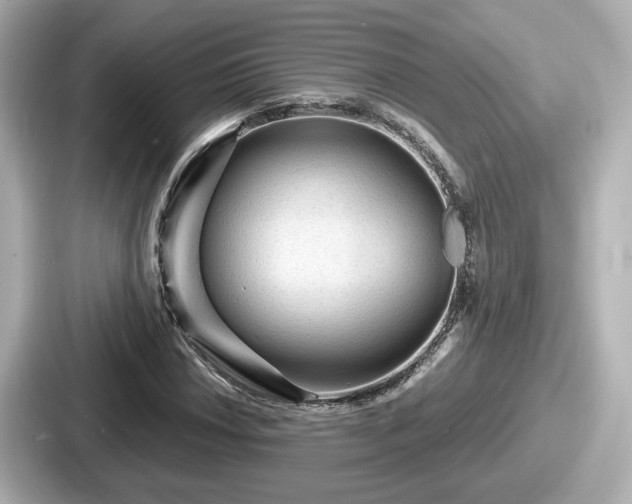 X0000087641018200705101043